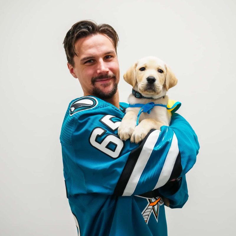 Jan Jose Sharks player in a jersey holding a yellow lab puppy in a yellow service vest