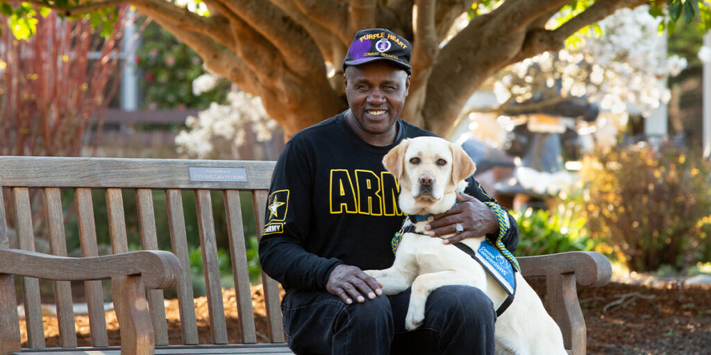 Canine Companions service dog resting on lap of black american veteran sitting on wooden bench in a park