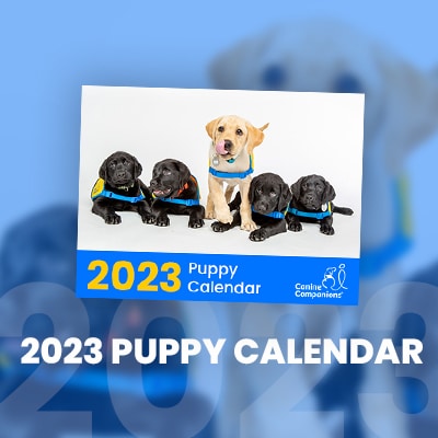 Image of the 2023 Puppy Calendar with a row of puppies in yellow puppy vests superimposed on a blue background with the text 2023 Puppy Calendar