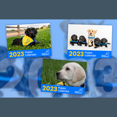 three options for the 2023 puppy calendar, a black lab in yellow puppy vest in the grass, a row of black lab puppies laying down with a yellow lab puppy standing, and a yellow lab puppy in yellow puppy vest laying in the grass