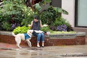 Hearing dog alerting graduate