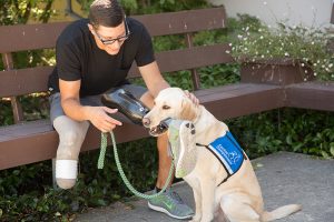 service dog retrieve prothesis