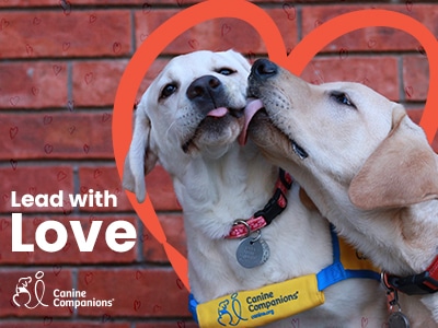 two yellow puppies kissing. Lead With Love.