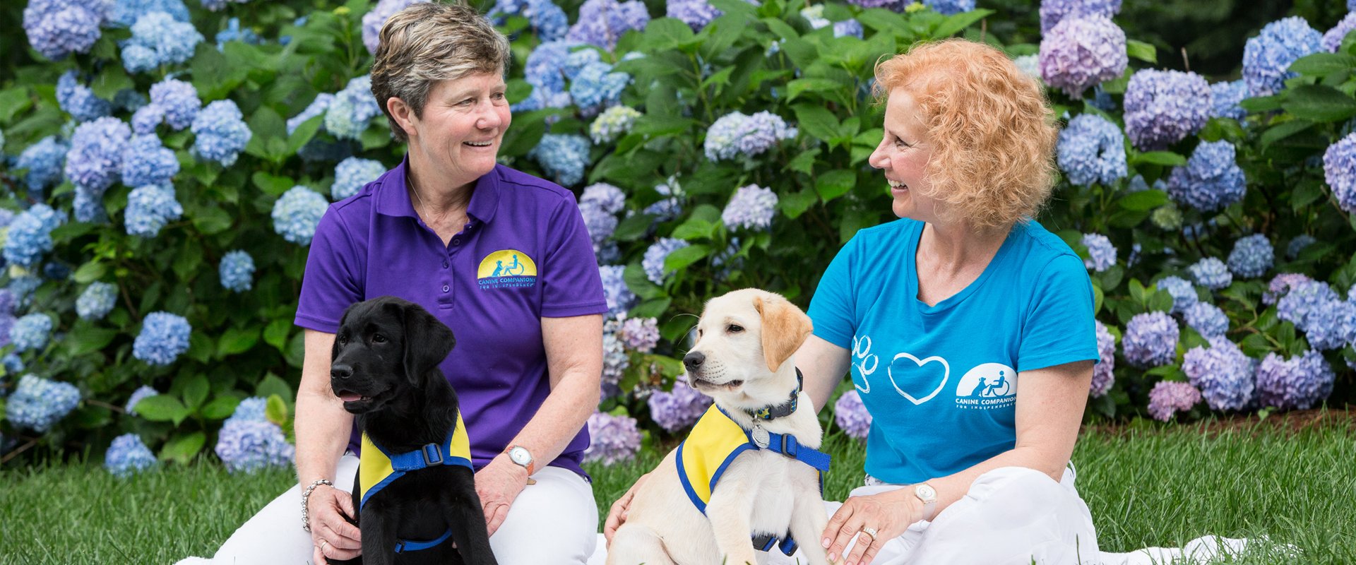 2 ladies seating on the grass with canine companions puppies