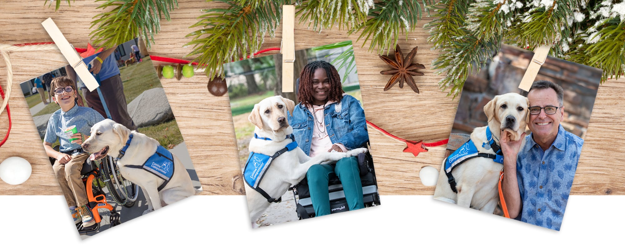 three images of service dog teams pinned to string with wood and evergreen branches behind them