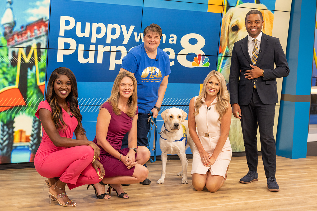 A group of people surround a yellow Labrador in a service dog vest