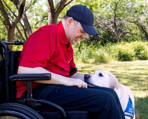 a smiling man in a wheelchair with a yellow lab in a blue service vest laying across his lap