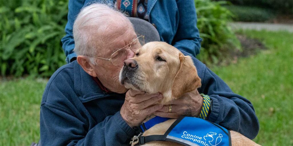 Elderly man kisses a yellow lab in a blue service dog vest