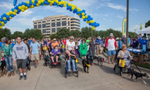 Group attending a dogfest event