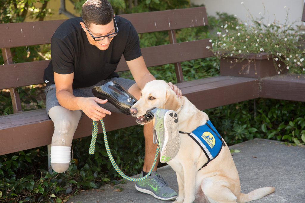 service dog retrieve prothesis