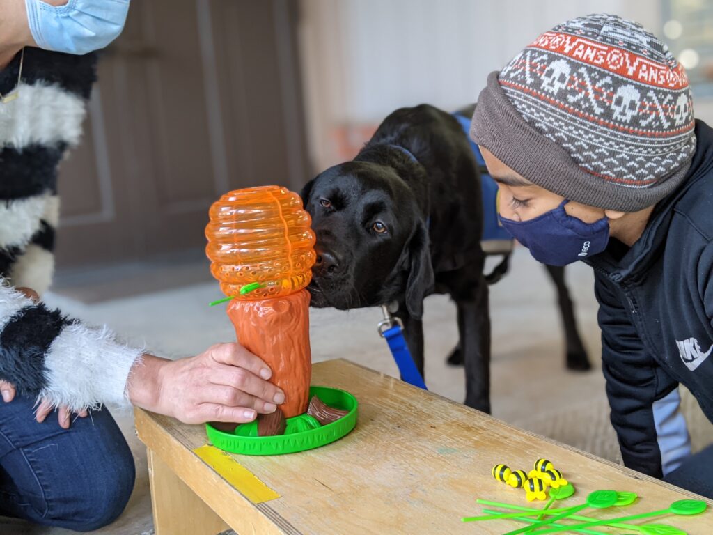 Facility Dog Rumba plays a turn taking game with a young client