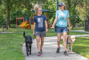 two people walking with dogs