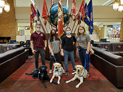 4 adults with 3 puppies with flags behind