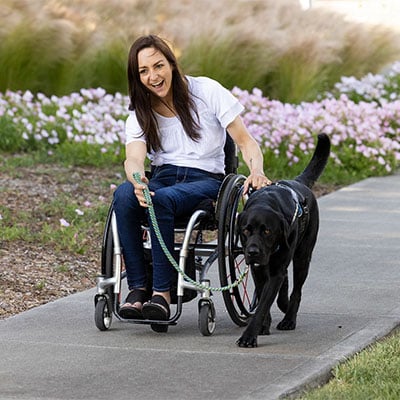 a woman on a wheelchair being pulled by a Labrador, whom she is holding a leash on