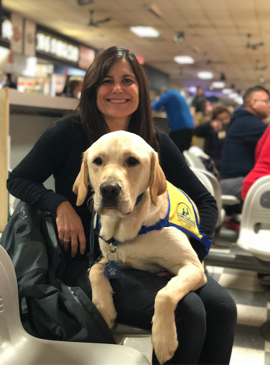 Canine Companions puppy on persons lap