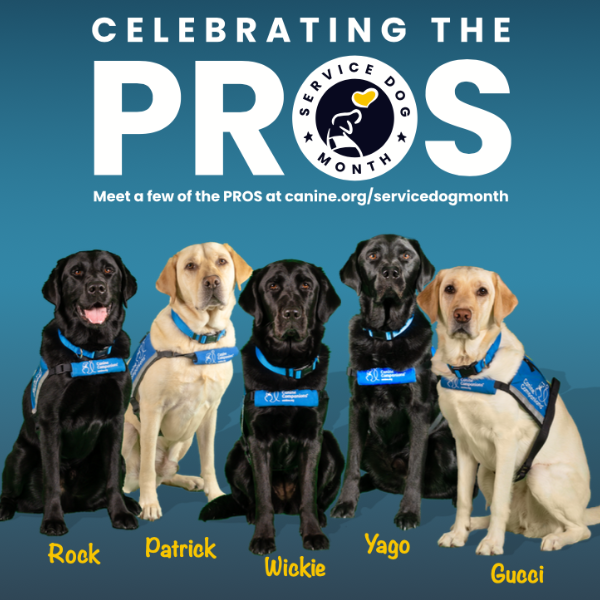 Celebrating the Pros text with the national service dog month logo and five yellow and black lab service dogs sitting resolutely in a row