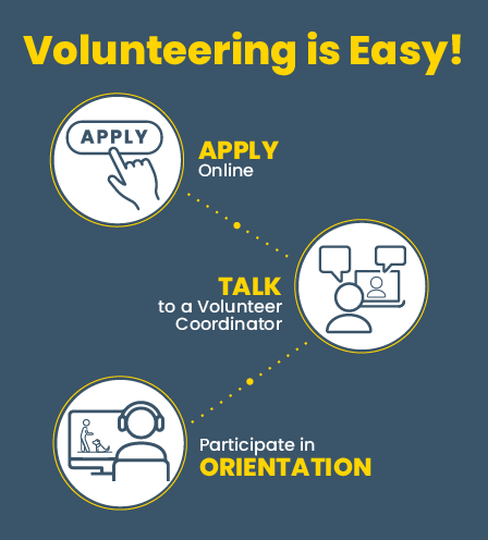 easy step infographic to become a volunteer