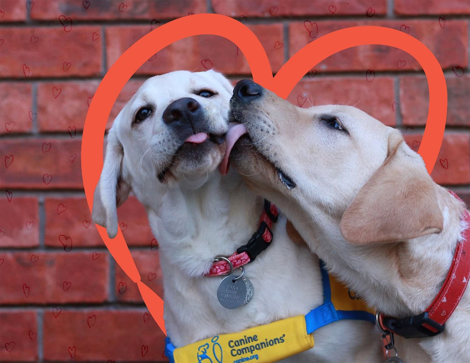 two puppies licking each others faces in front of a red heart